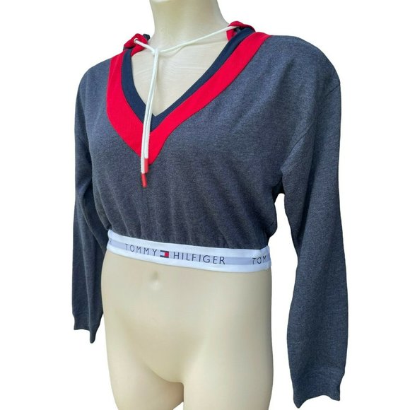 Tommy Hilfiger Logo Gray Cropped Hoodie Sweatshirt V-Neck Sz M Urban Outfitters - Picture 4 of 9